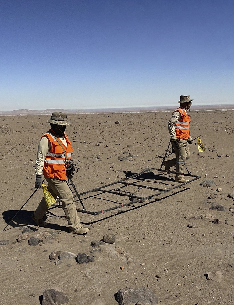 Operacion_limpieza_CARRUSEL_01